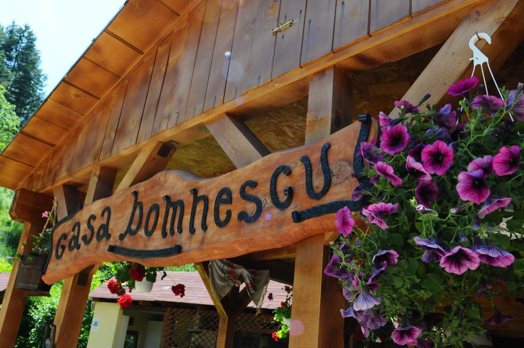 Pensiunea Domnescu Saliste  Ngoại thất bức ảnh